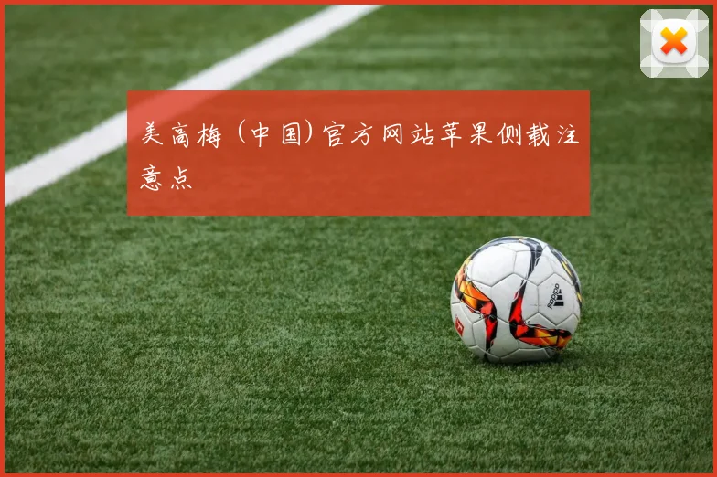 美高梅 (中国)官方网站苹果侧载注意点