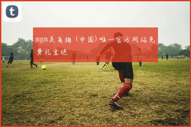 mgm美高梅 (中国)唯一官方网站免费礼金送