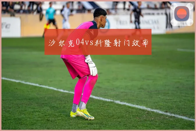 沙尔克04vs科隆射门效率